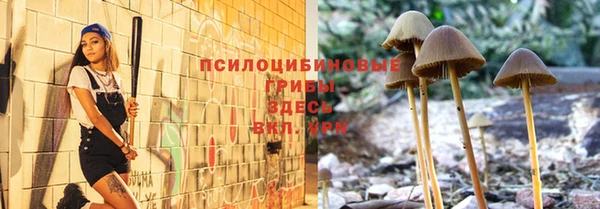ешки Богородицк
